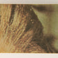 Star Wars 1977 Card #94 Interrogated By Stormtroopers - Print Defect ERROR Topps L019905