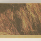 Star Wars 1977 Trading Card #106 A Message From Princess Leia ENG Topps L019914