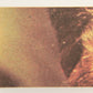 Star Wars 1977 Trading Card #67 See-Threepio And Luke FR-ENG OPC L019954