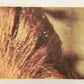 Star Wars 1977 Trading Card #94 Interrogated By Stormtroopers FR-ENG OPC L019962