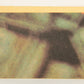 Star Wars 1977 Card #100 Our Heroes At The Spaceport FR-ENG O-Pee-Chee L019965