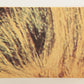Star Wars 1977 Trading Card #112 Threatened By Sandpeople FR-ENG OPC L019968