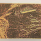 Star Wars 1977 Card #113 Ben Hides From Imperial Stormtroopers FR-ENG OPC L019969