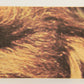Star Wars 1977 Trading Card #119 Threepio Ben And Luke FR-ENG O-Pee-Chee L019971