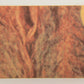 Star Wars 1977 Card #144 Princess Leia Blasts The Enemy FR-ENG O-Pee-Chee L019993