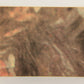 Star Wars 1977 Trading Card #170 Readying The Rebel Fleet FR-ENG O-Pee-Chee L020013