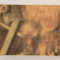 Star Wars 1977 Trading Card #179 Member Of The Evil Empire FR-ENG OPC L020017