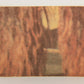 Star Wars 1977 Trading Card #184 Luke And Ben On Tatooine FR-ENG OPC L020022