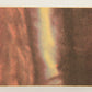 Star Wars 1977 Trading Card #198 Star Pilot Luke Skywalker FR-ENG O-Pee-Chee L020032