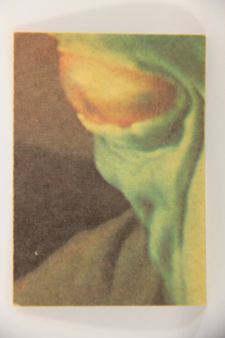 Star Wars 1977 Trading Card #241 A Touch-Up For Chewbacca FR-ENG OPC L020061