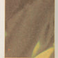 Star Wars 1977 Card #252 Make-Up For The Bantha FR-ENG O-Pee-Chee L020068