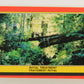 Star Wars Return Of The Jedi 1983 Trading Card #81 Royal Treatment FR-ENG OPC L020134