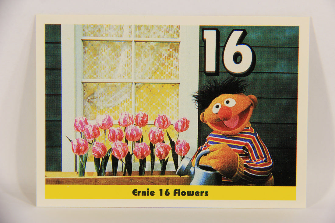 Sesame Street TV Show 1992 Trading Card #17 Ernie 16 Flowers ENG Canada L020640