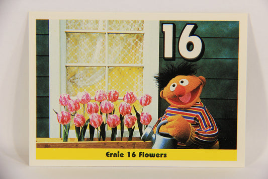 Sesame Street TV Show 1992 Trading Card #17 Ernie 16 Flowers ENG Canada L020640