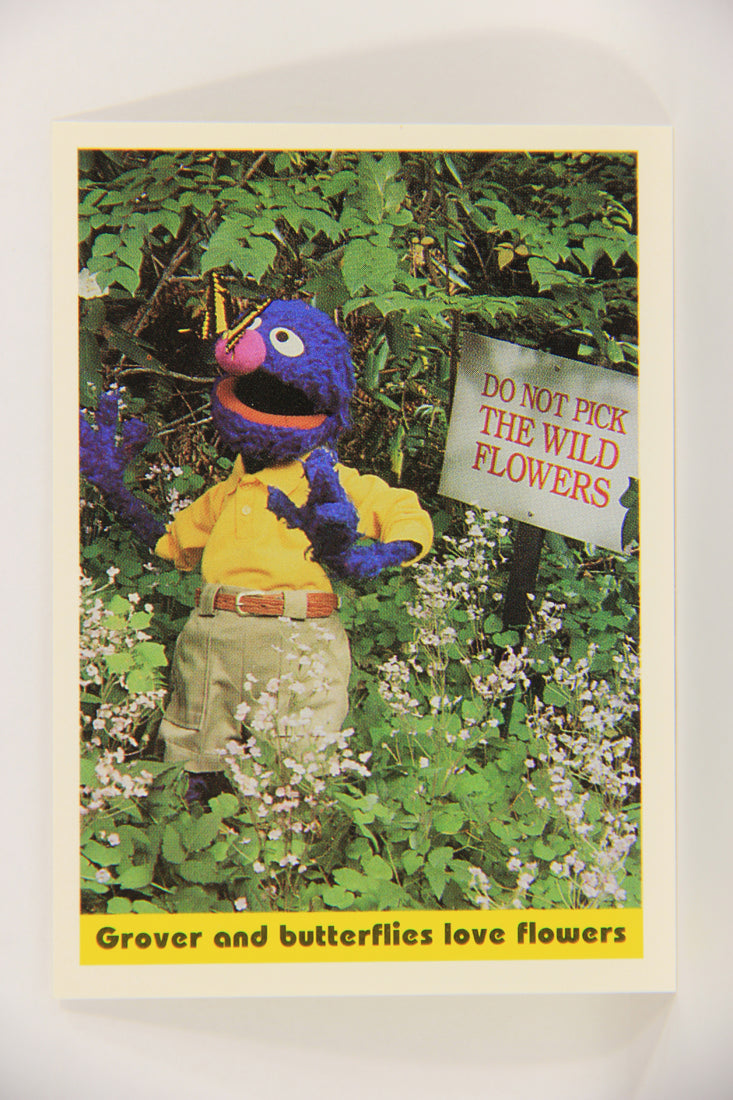 Sesame Street TV Show 1992 Card #44 Grover And Butterflies Love Flowers ENG L020667
