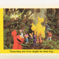 Sesame Street TV Show 1992 Card #46 Someday Our Tree Might Be That Big ENG L020669