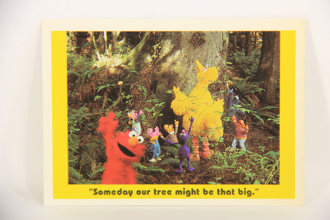 Sesame Street TV Show 1992 Card #46 Someday Our Tree Might Be That Big ENG L020669