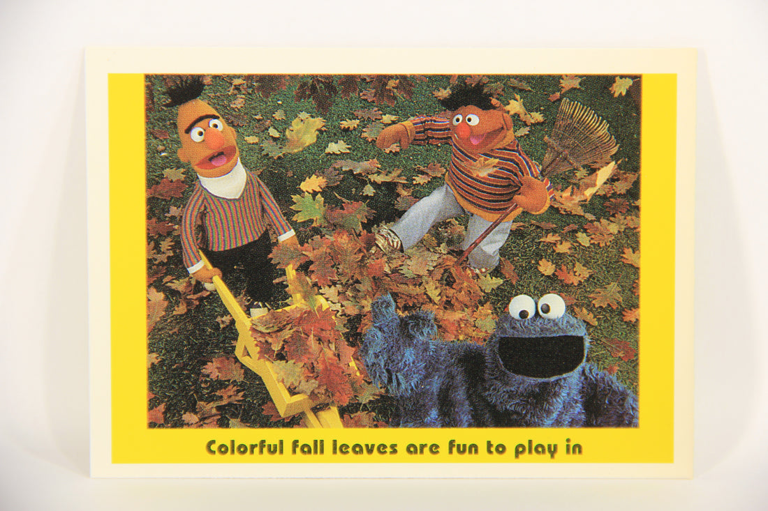 Sesame Street TV Show 1992 Card #47 Colorful Fall Leaves Are Fun To Play In ENG L020670