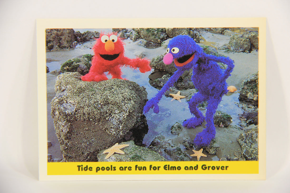 Sesame Street TV Show 1992 Card #48 Tide Pools Are Fun For Elmo And Grover L020671