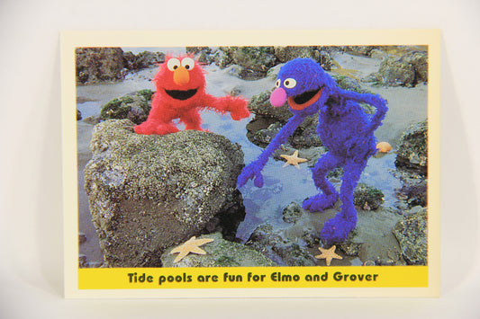 Sesame Street TV Show 1992 Card #48 Tide Pools Are Fun For Elmo And Grover L020671
