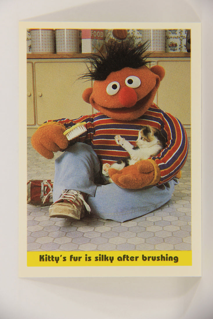 Seasame Street TV Show 1992 Card #70 Kitty's Fur Is Silky After Brushing ENG L020693