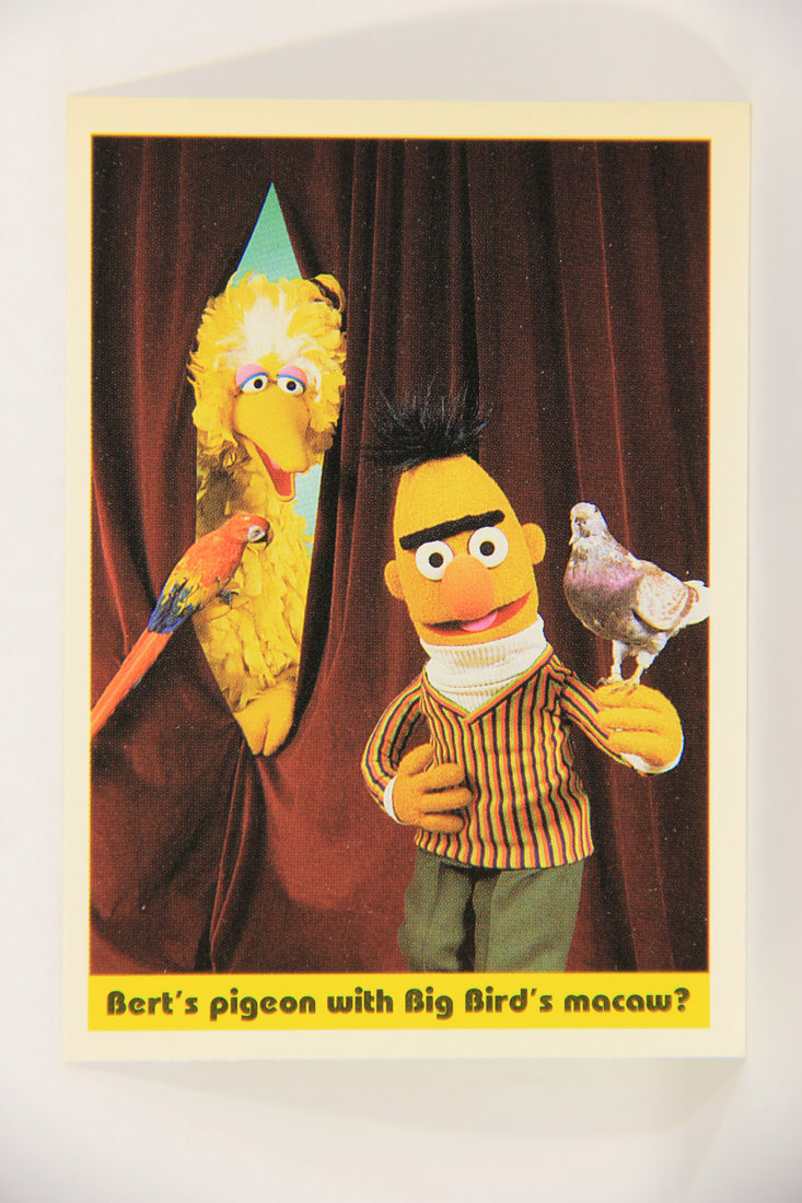 Seasame Street TV Show 1992 Card #73 Bert's Pigeon With Big Bird's Macaw ENG L020696