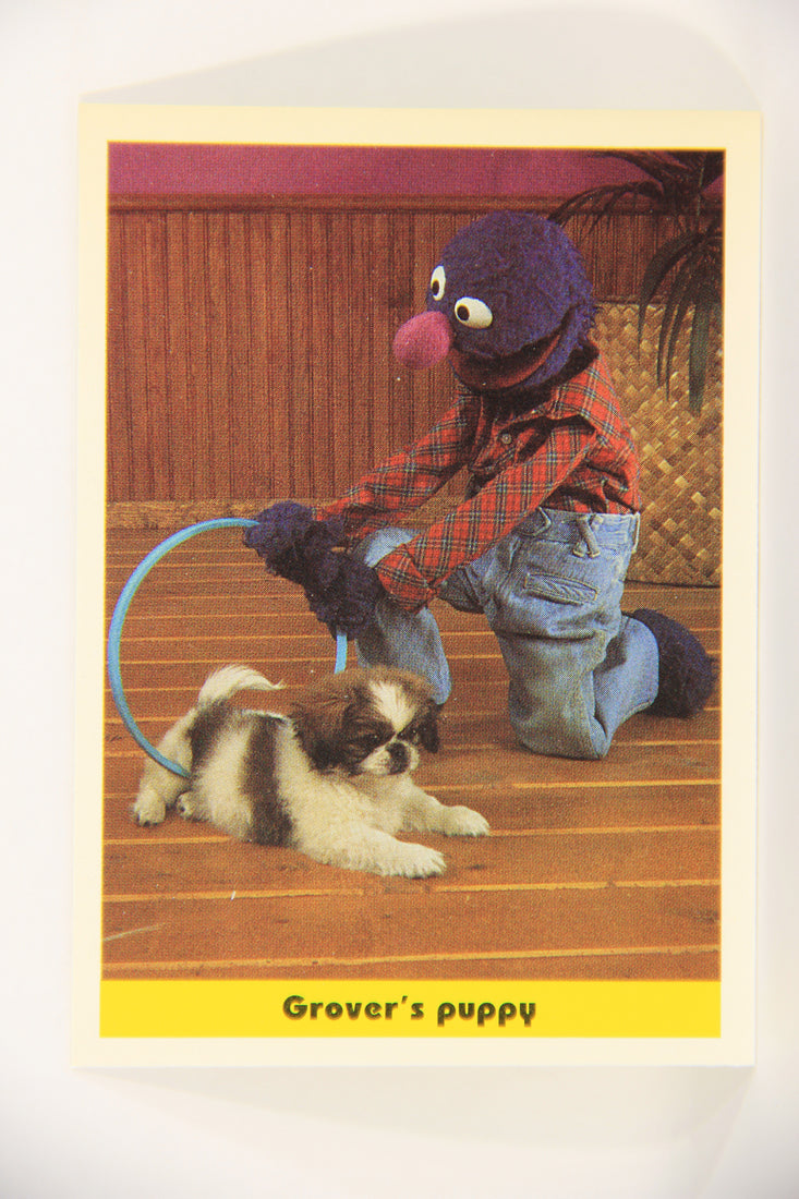 Seasame Street TV Show 1992 Trading Card #74 Grover's Puppy ENG Canada L020697