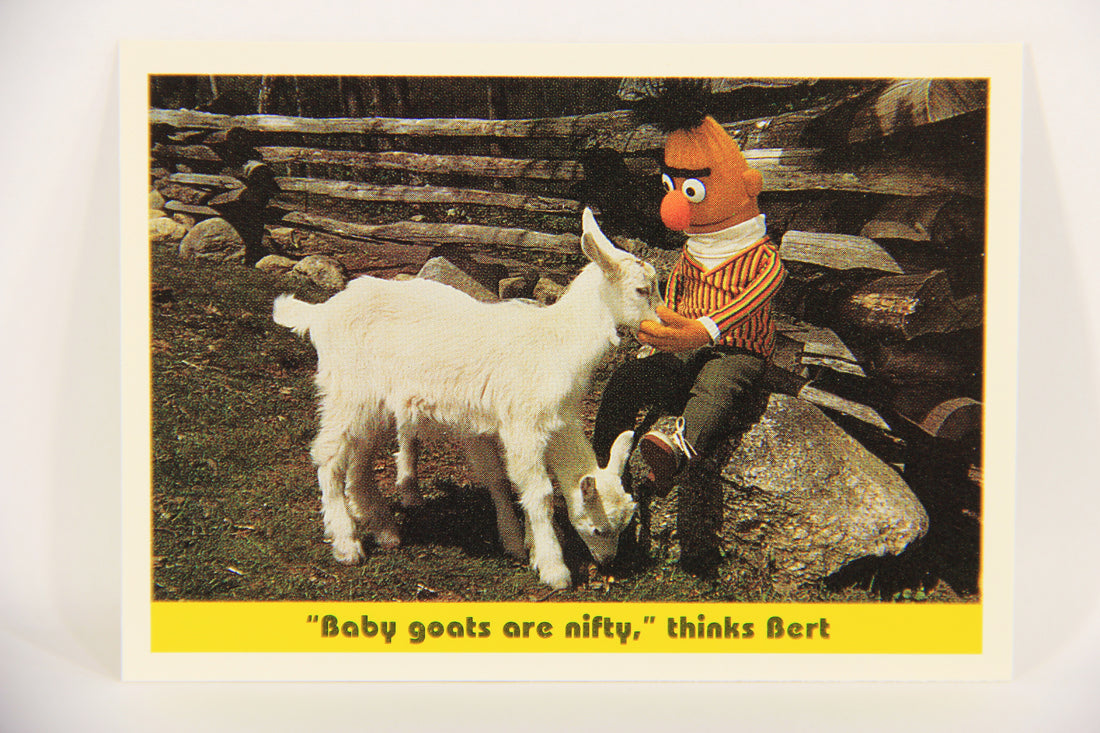 Seasame Street TV Show 1992 Card #77 Baby Goats Are Nifty Thinks Bert ENG L020700