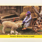 Seasame Street TV Show 1992 Trading Card #78 Farmer Grover Feeds A Lamb ENG L020701