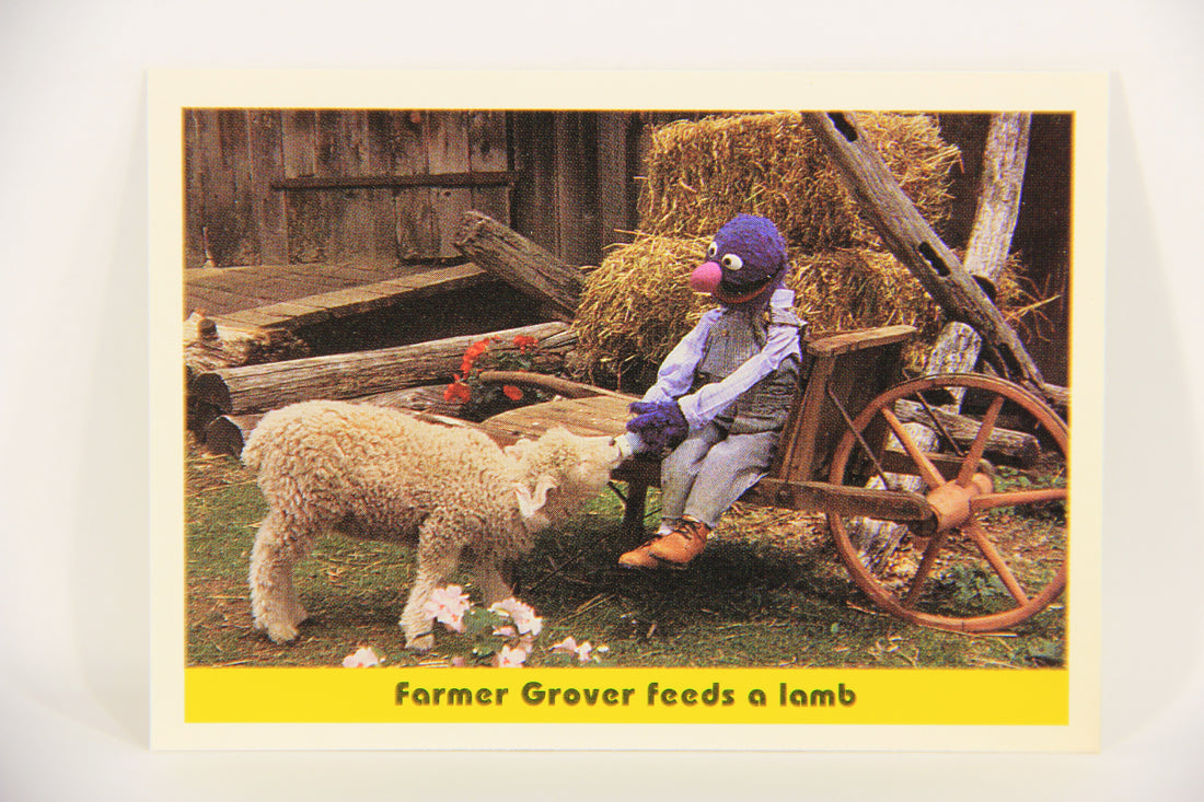 Seasame Street TV Show 1992 Trading Card #78 Farmer Grover Feeds A Lamb ENG L020701