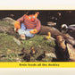 Seasame Street TV Show 1992 Trading Card #79 Ernie Feeds All The Duckies ENG L020702