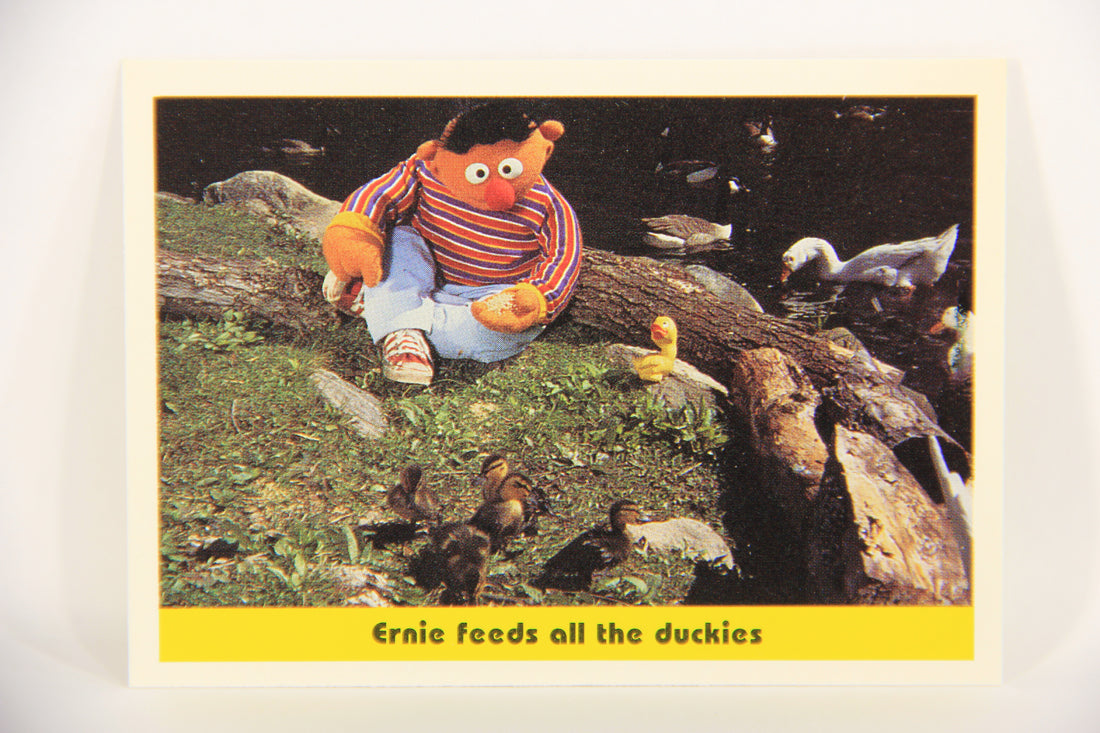 Seasame Street TV Show 1992 Trading Card #79 Ernie Feeds All The Duckies ENG L020702