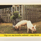 Seasame Street TV Show 1992 Card #80 Pigs Are My Favorite Animals Says Oscar L020703
