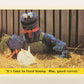 Seasame Street TV Show 1992 Card #81 It's Time To Feed Bunny Mm Good Carrot L020704