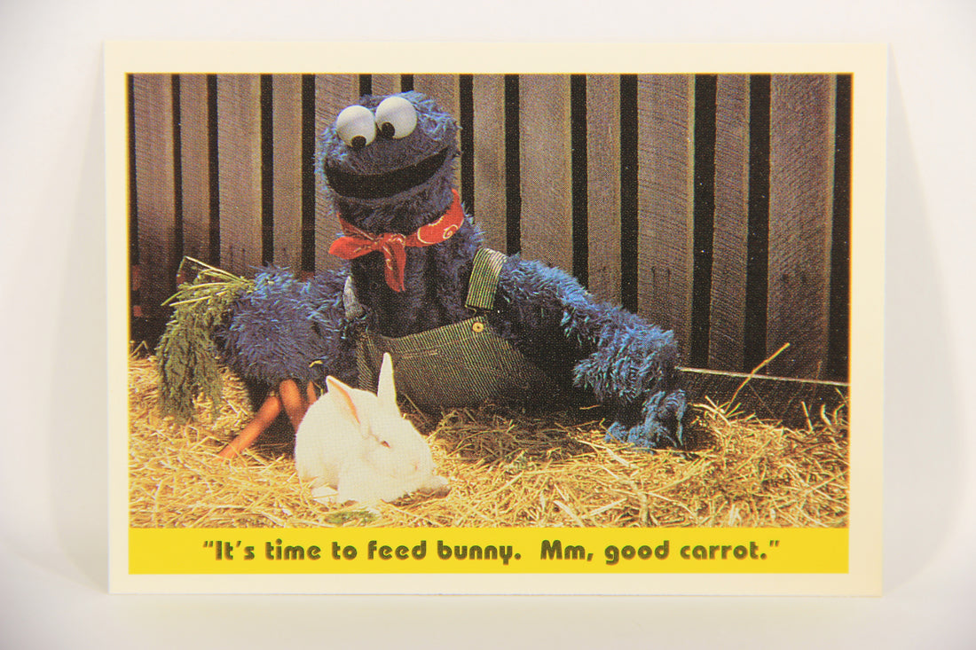 Seasame Street TV Show 1992 Card #81 It's Time To Feed Bunny Mm Good Carrot L020704
