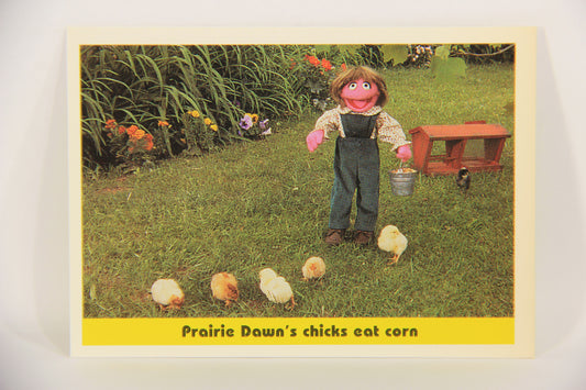 Sesame Street TV Show 1992 Card #82 Prairie Dawn's Chicks Eat Corn ENG L020705