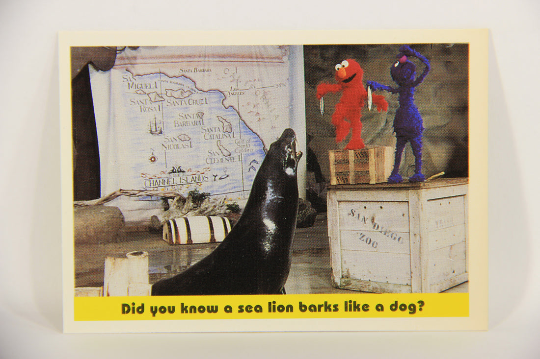 Seasame Street TV Show 1992 Card #84 Did You Know A Sea Lion Barks Like A Dog L020707