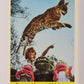 Seasame Street TV Show 1992 Card #87 The Serval Is A Very High Jumper ENG L020710