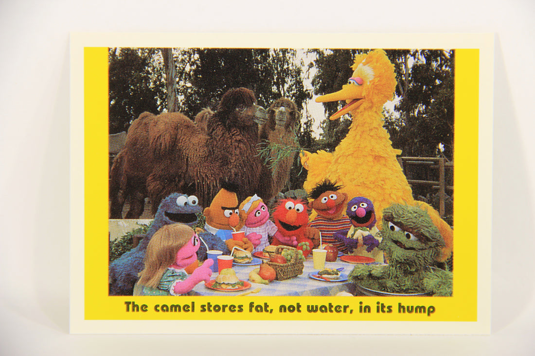 Seasame Street TV Show 1992 Card #89 The Camel Stores Fat Not Water In Its Hump L020712