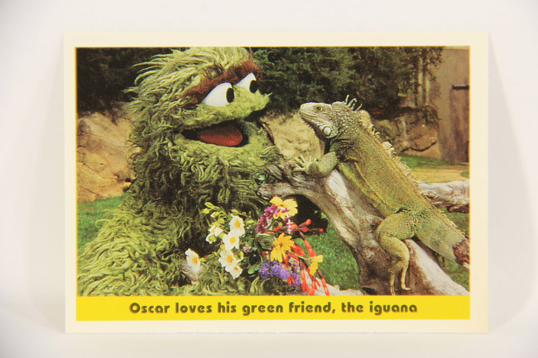 Seasame Street TV Show 1992 Card #90 Oscar Loves His Green Friend The Iguana L020713