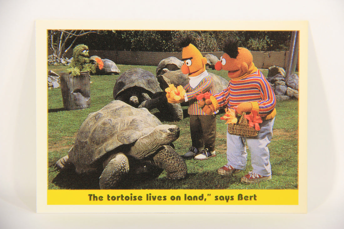 Seasame Street TV Show 1992 Card #91 The Tortoise Lives On Land Says Bert ENG L020714