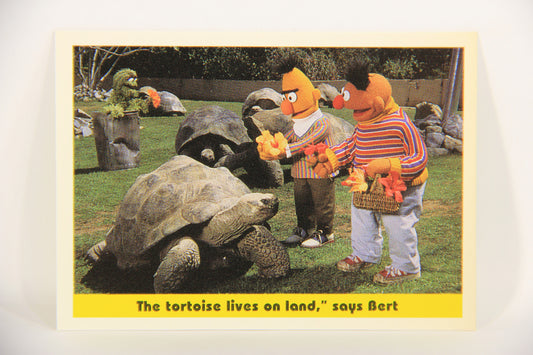 Sesame Street TV Show 1992 Card #91 The Tortoise Lives On Land Says Bert ENG L020714
