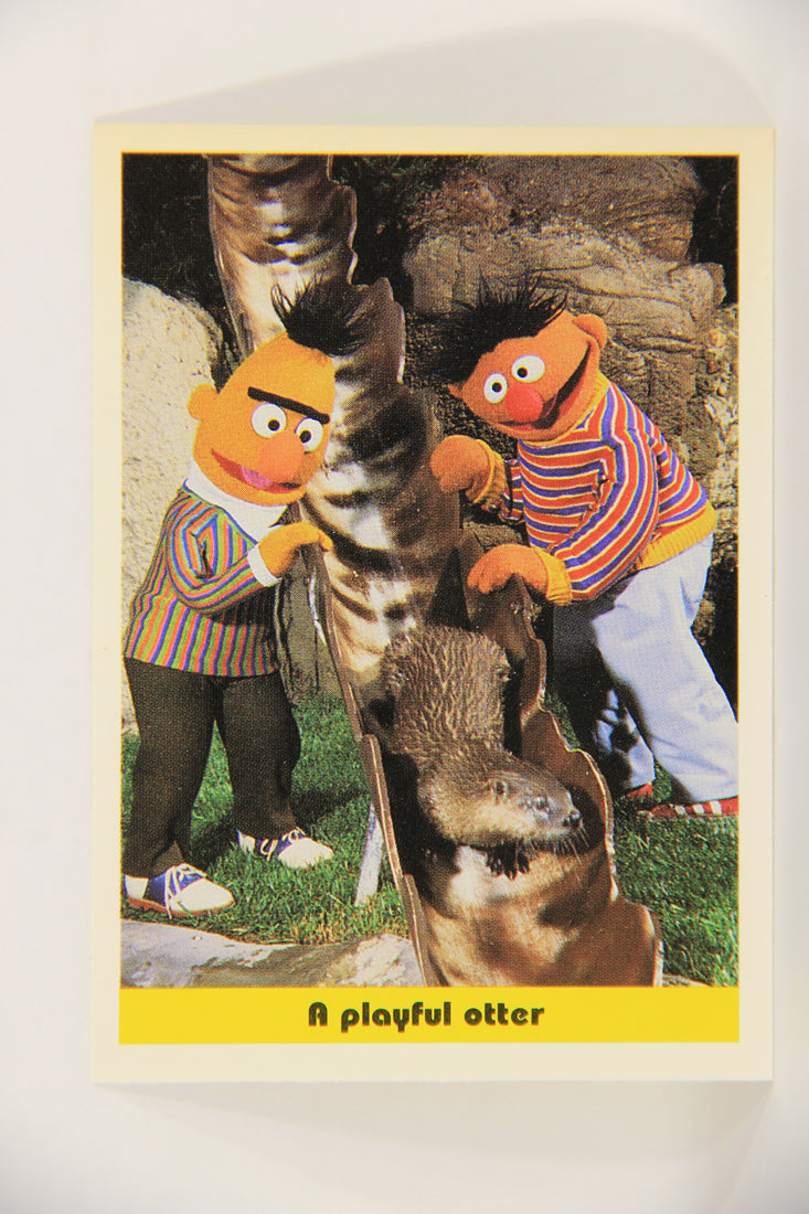 Seasame Street TV Show 1992 Trading Card #92 A Playful Otter ENG Canada L020715