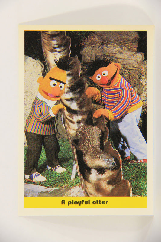 Sesame Street TV Show 1992 Trading Card #92 A Playful Otter ENG Canada L020715