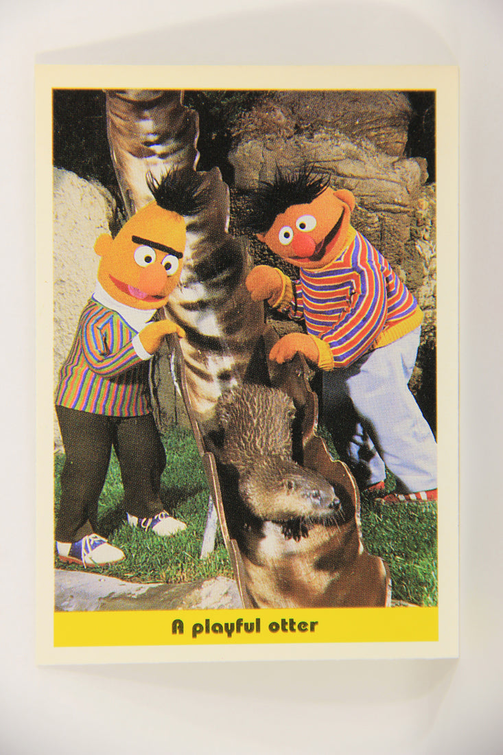 Seasame Street TV Show 1992 Trading Card #92 A Playful Otter ENG Canada L020716
