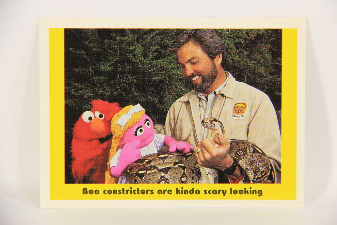 Seasame Street TV Show 1992 Card #94 Boa Constrictors Are Kinda Scary Looking L020718