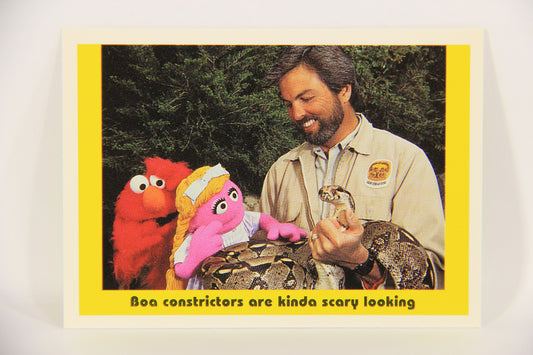 Sesame Street TV Show 1992 Card #94 Boa Constrictors Are Kinda Scary Looking L020718
