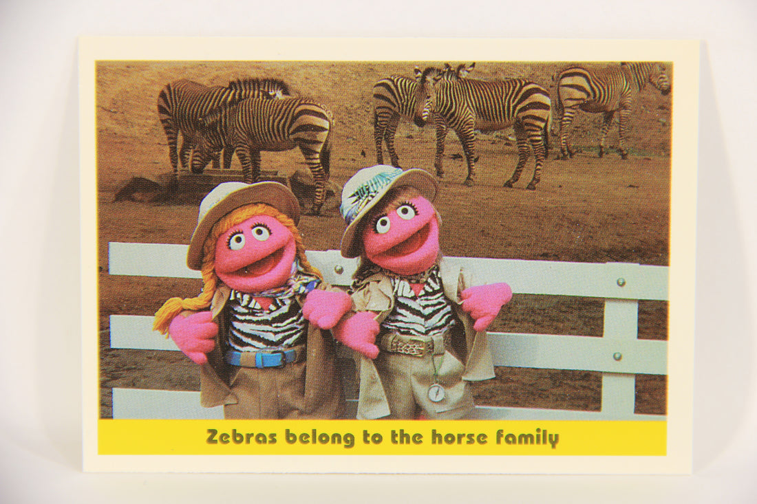 Seasame Street TV Show 1992 Card #97 Zebras Belong To The Horse Family ENG L020721