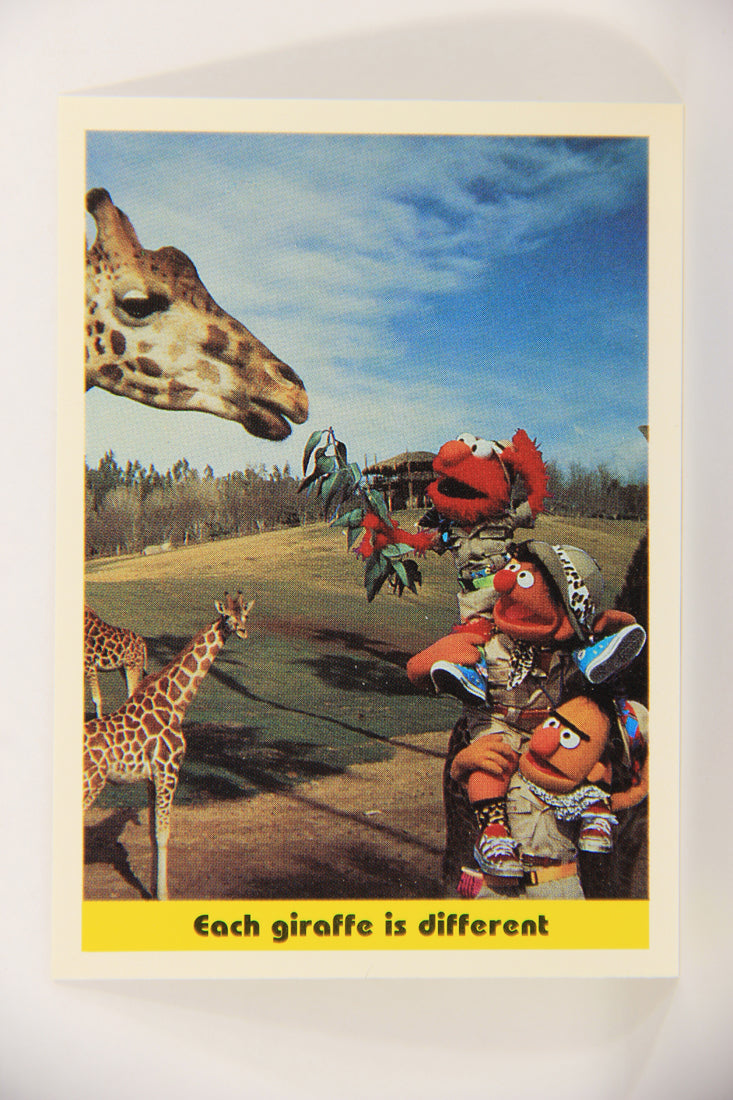 Seasame Street TV Show 1992 Trading Card #98 Each Giraffe Is Different ENG L020722