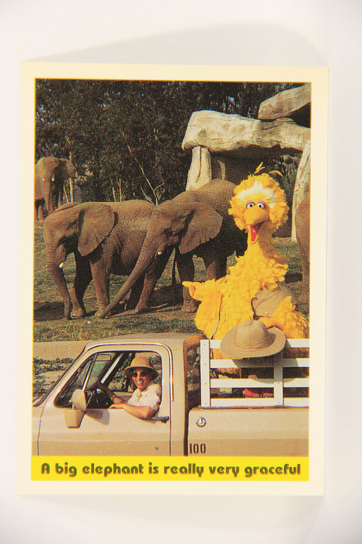 Seasame Street TV Show 1992 Card #99 A Big Elephant Is Really Very Graceful ENG L020723